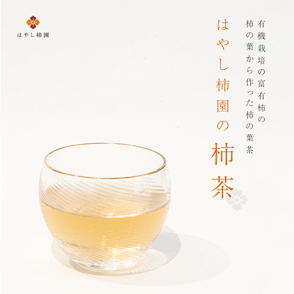 岐阜県産のお茶,柿茶,美味しいお茶